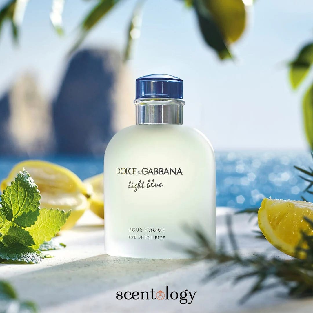 Dolce & Gabbana Light Blue  – Fresh & Timeless Fragrance