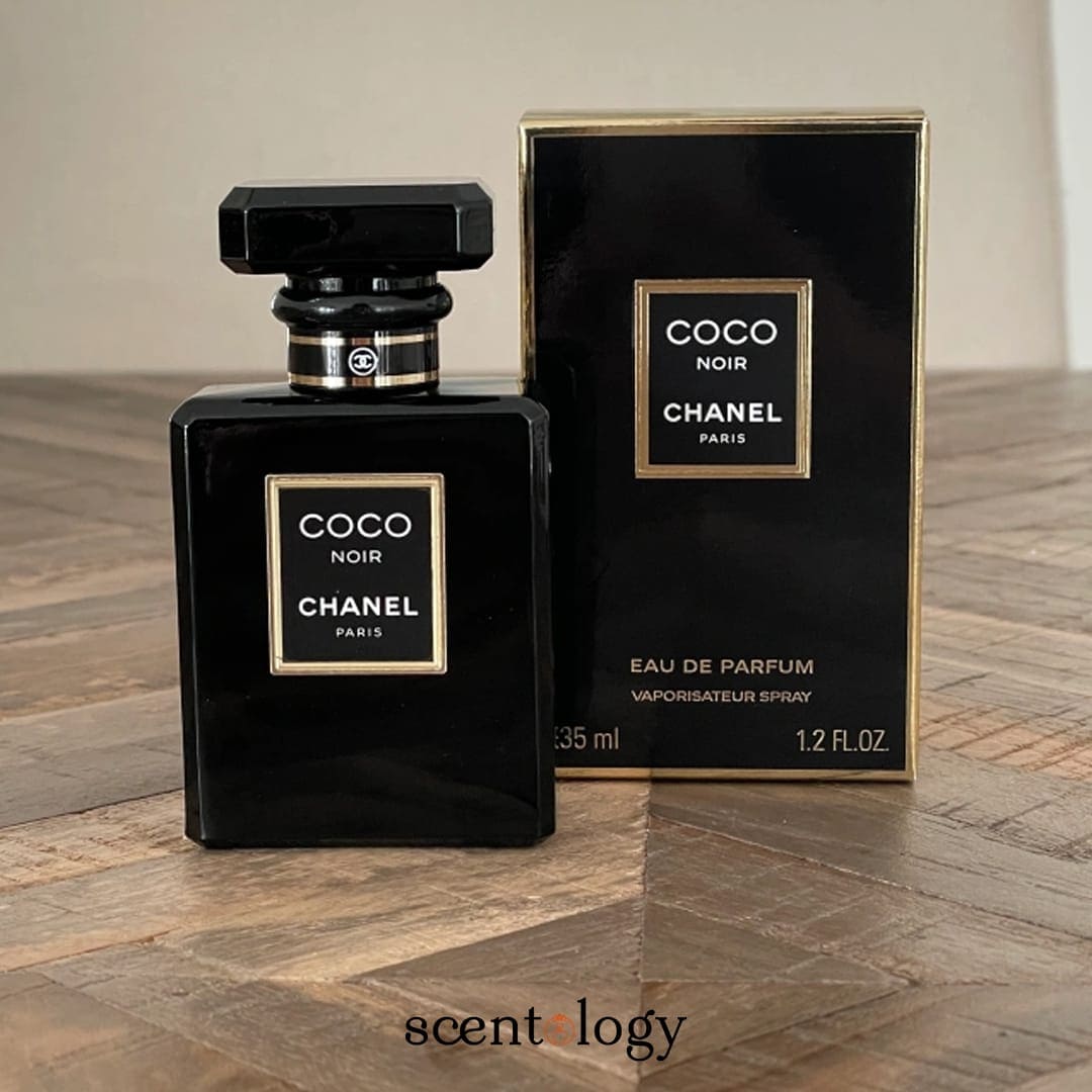 Coco Noir - Mysterious Oriental Woody Perfume