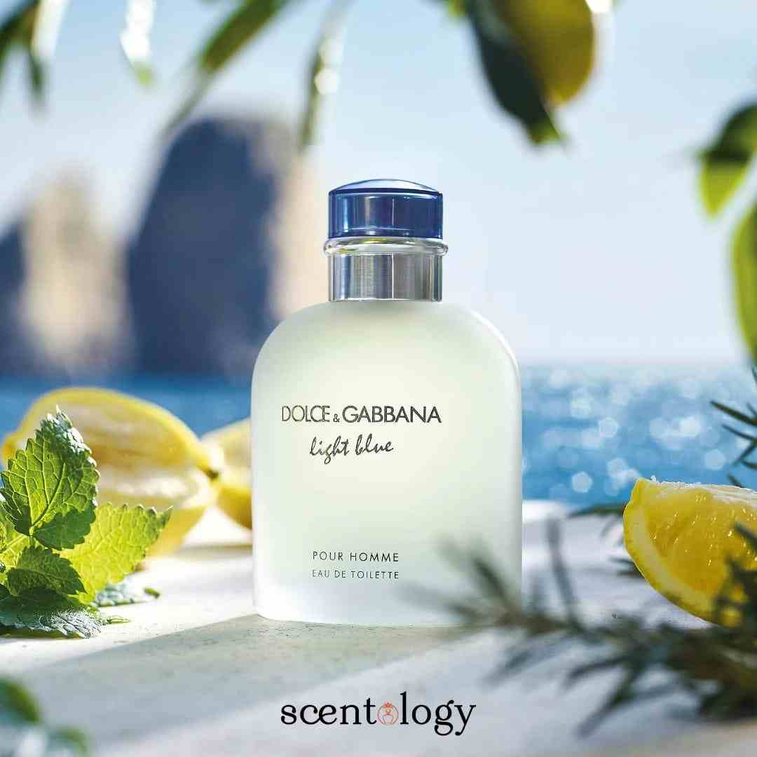 Dolce & Gabbana Light Blue  – Fresh & Timeless Fragrance