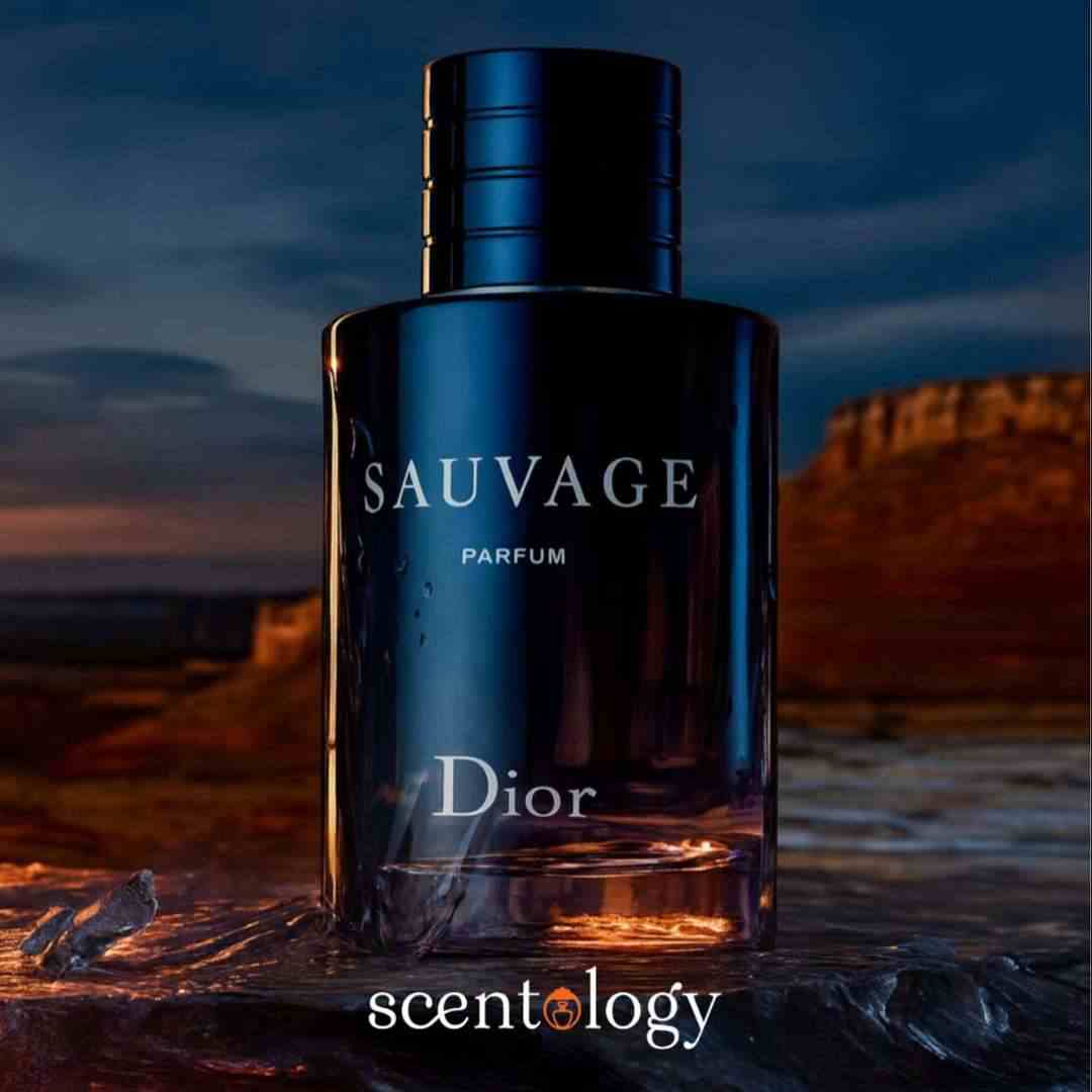 Sauvage Eau de Toilette - Men's Fragrance